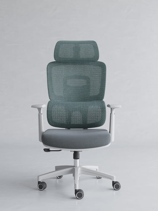SC-0011 Ergonomic Chair